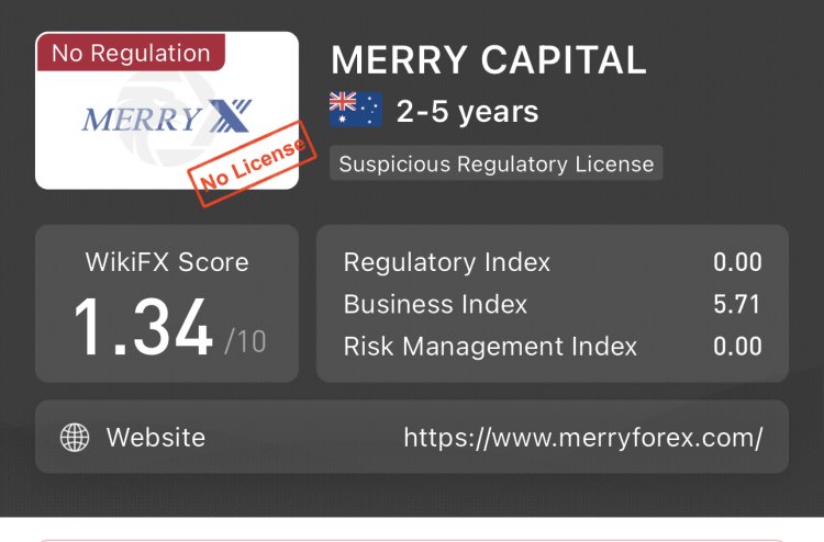 How can I recover my money from Merry Capital